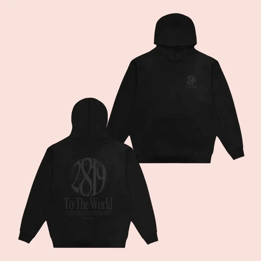 2819 Church Merch Store Shop Aoh 2819 To The World Hoodie Unique Christian Gifts