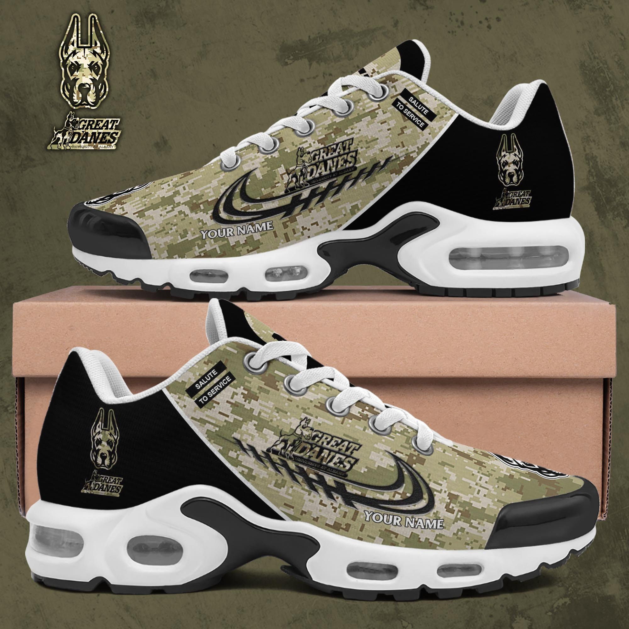 Albany Great Danes Shoes 2025 Version Custom Name, Camouflage Shoes, Gifts For Football Lovers