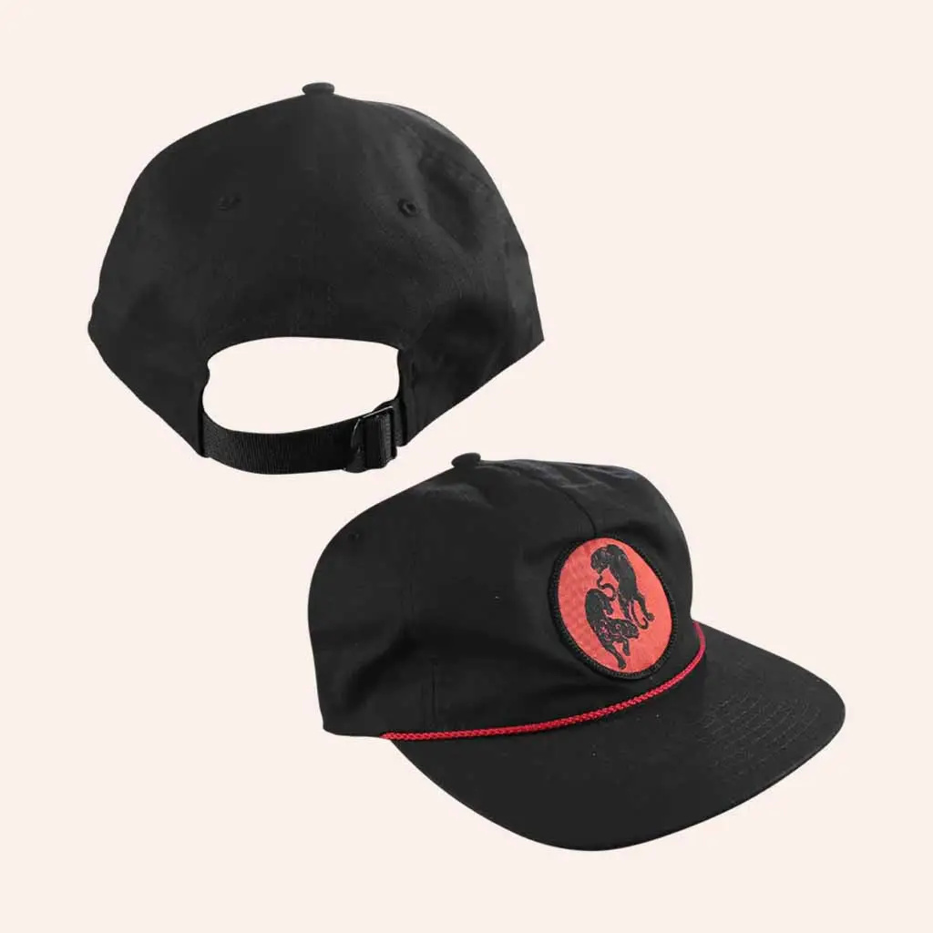 Black Pumas Merch Embroidered Hat Christmas Gifts For Husband -WearandDecor