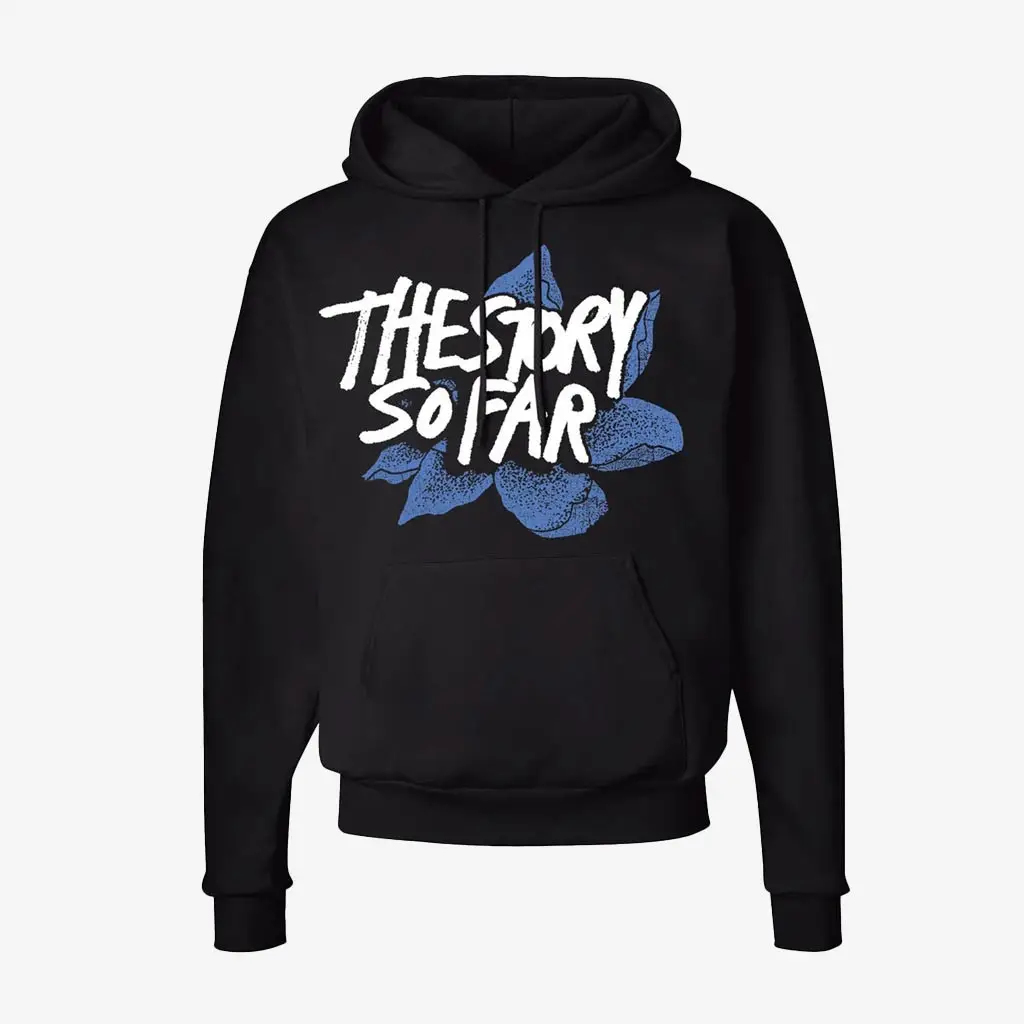 Cold Cuts Merch The Story So Far What You Don't See Hoodie Music Band Hoodie Gifts