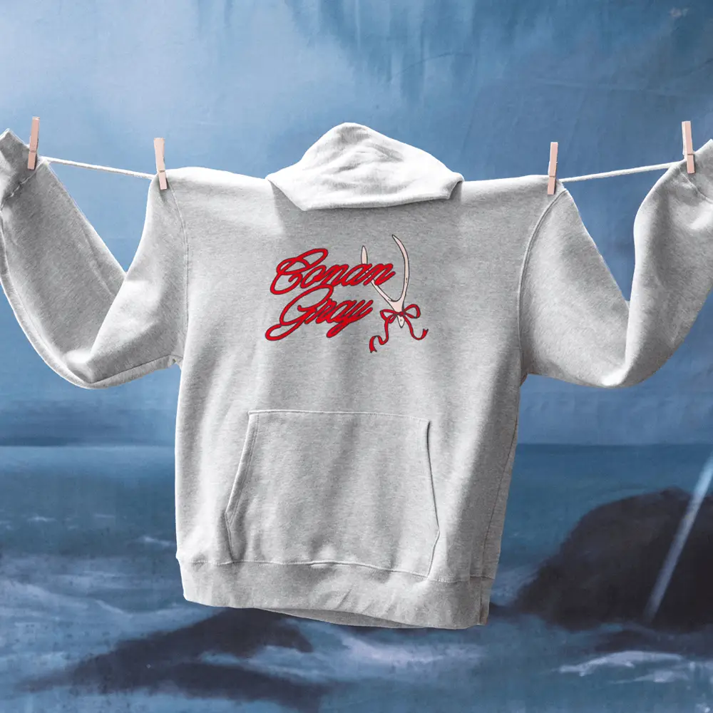 Conan Gray Ribbon Wishbone Hoodie Conan Gray Hooded Sweatshirt Music Fan Gift