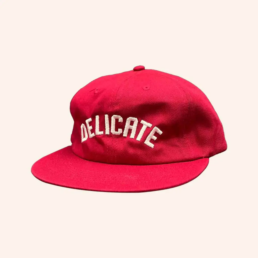 Delicate Steve Merch Delicate Embroidered Hat Christmas Gift Ideas For Dad -WearandDecor