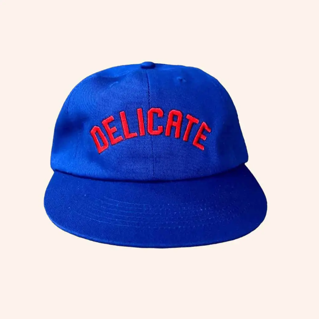 Delicate Steve Merch Delicate Embroidered Snapback Hat Christmas Ideas For Him -WearandDecor
