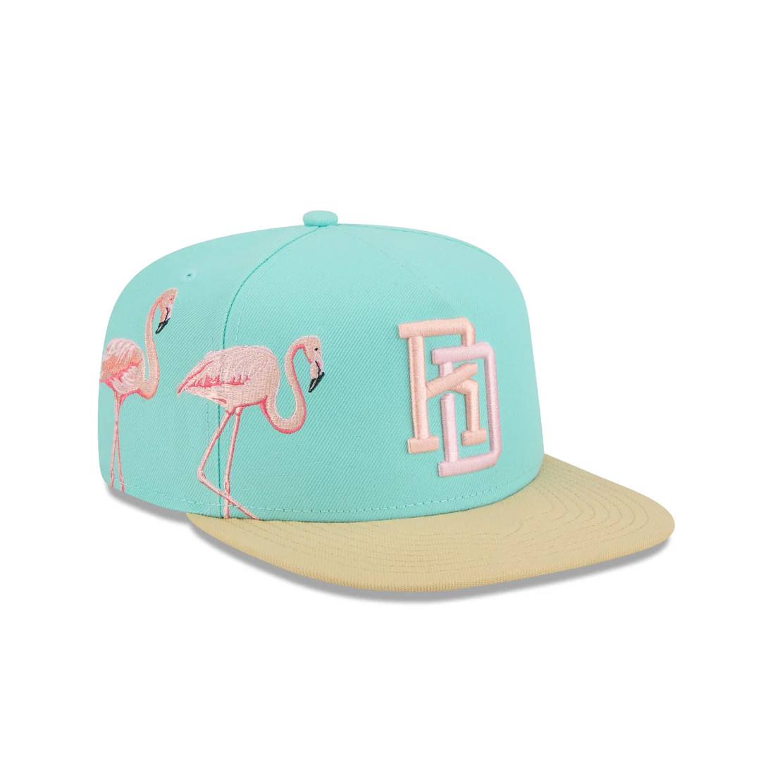 Dominican Republic Baseball 2026 WBC Snapback Flamingos Hat Print Gift