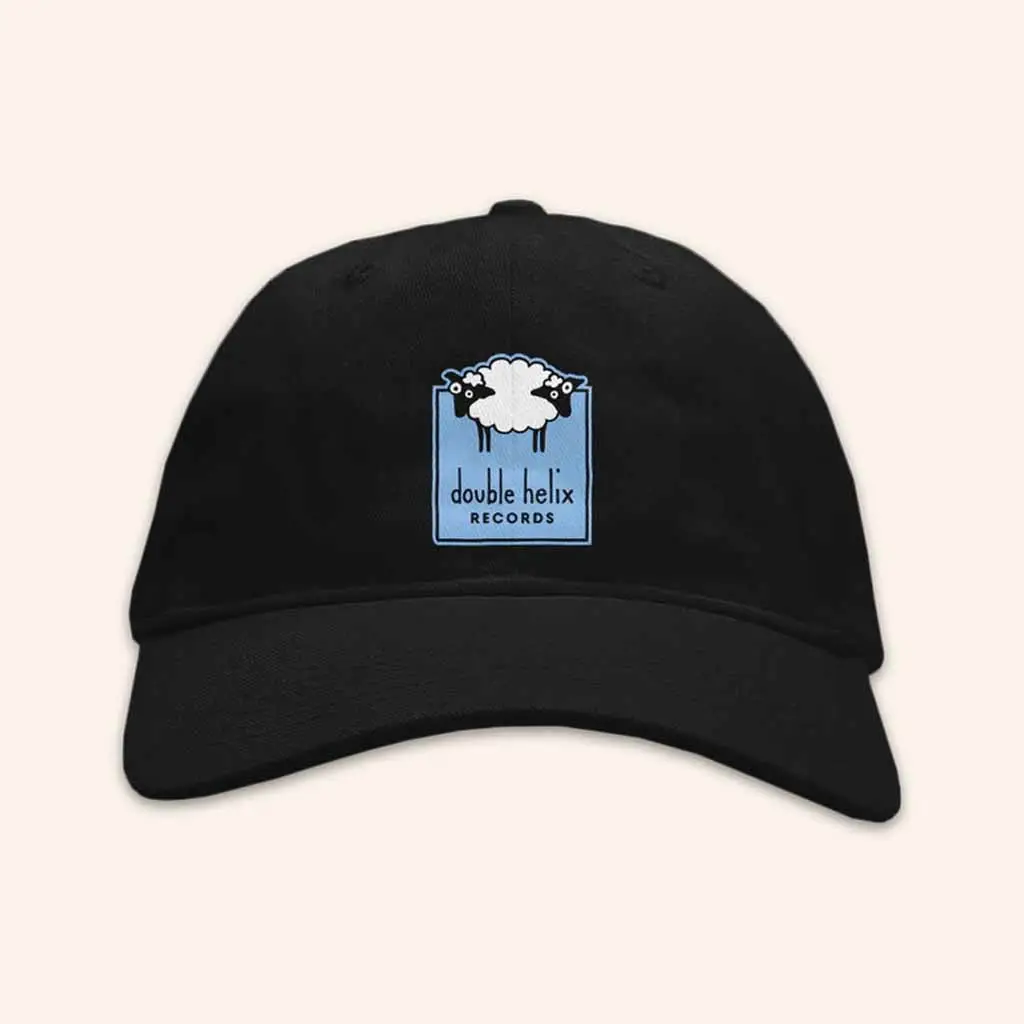 Double Helix Records Merch Double Helix Records Logo Hat Christmas Gifts For Husband -WearandDecor