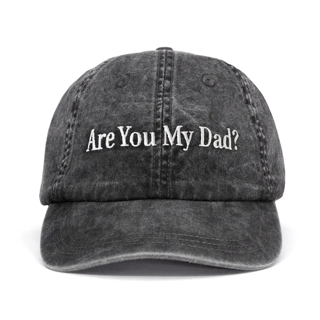 Dropout TV Merch Are You My Dad Embroidered Hat Gifts For Him Her - WearandDecor