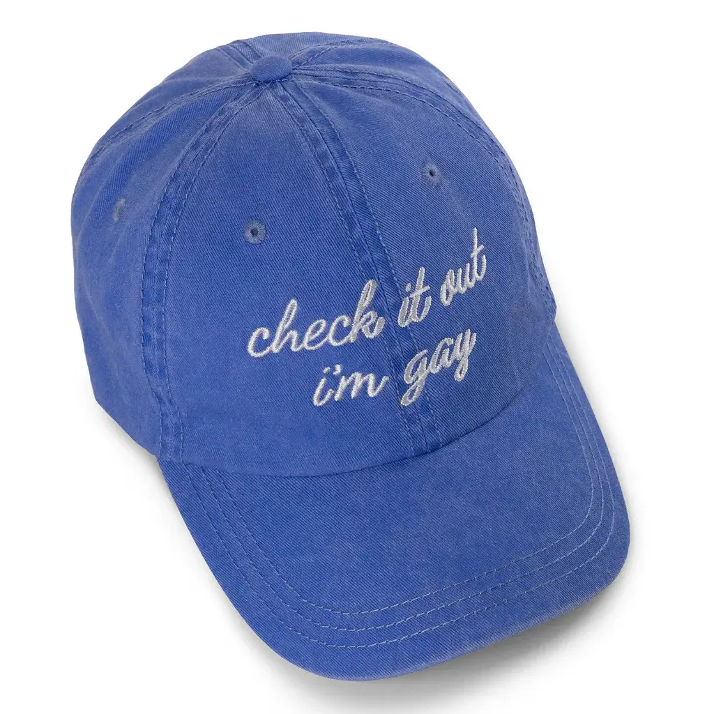 Dropout TV Merch Check It Out I'm Gay Hat Embroidered Christmas Gifts For Him - WearandDecor