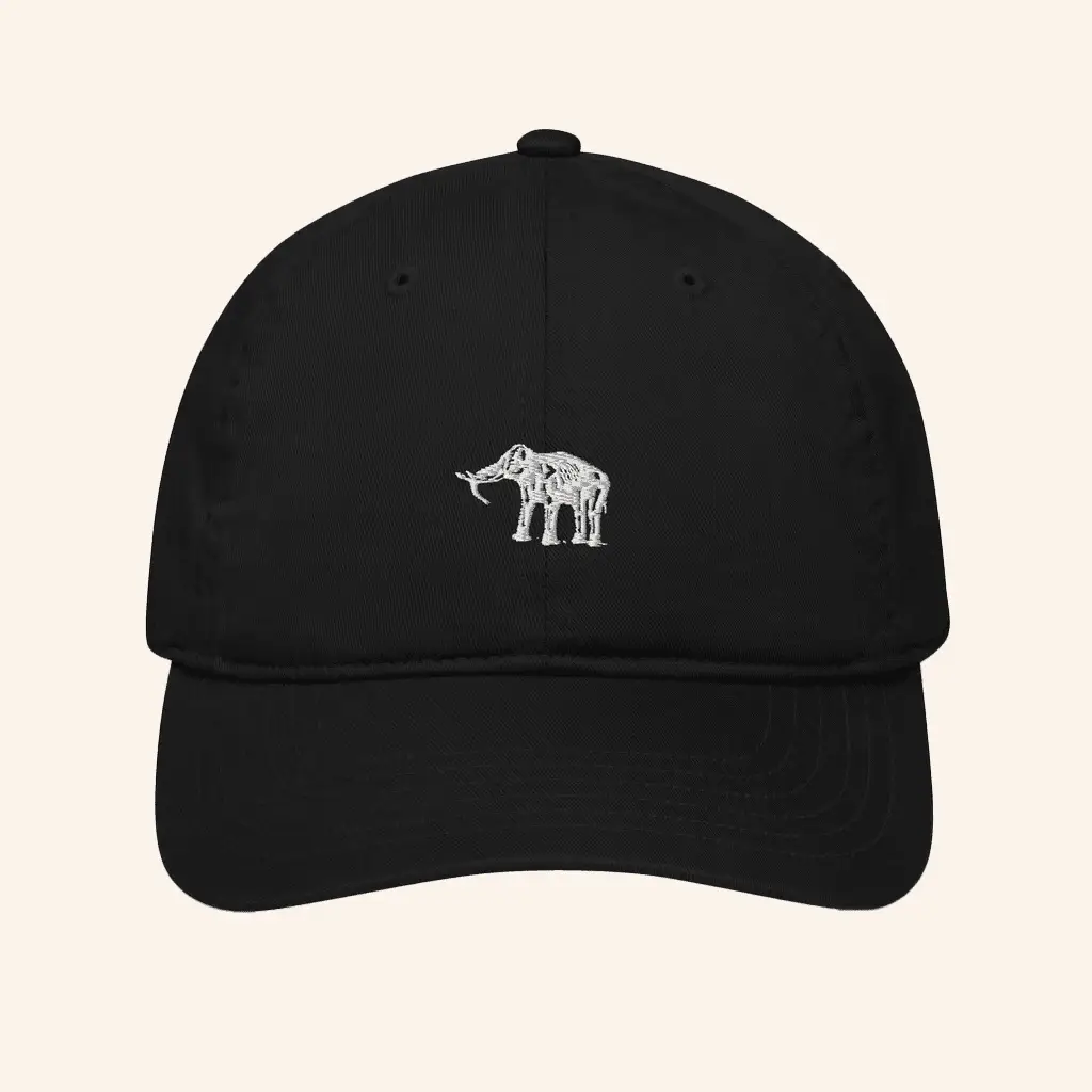 Elephant Sessions Merch Organic Hat Embroidered Best Gifts For Him -WearandDecor