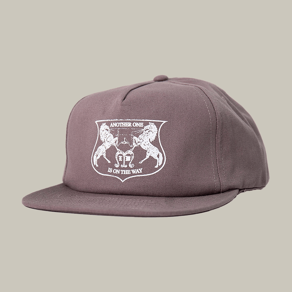 Elevation Worship Another One Hat Elevation Worship Merch Best Gift For Fan
