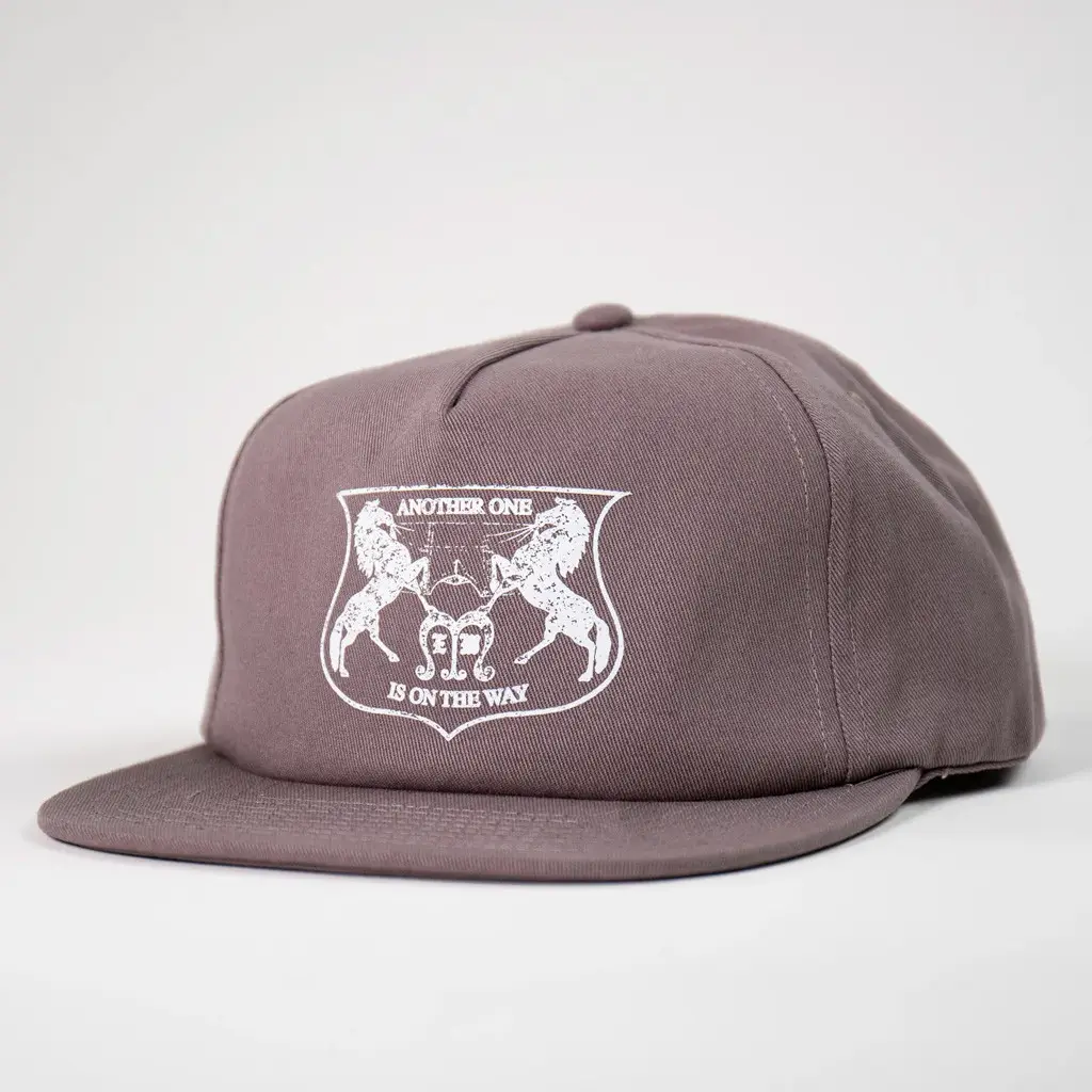 Elevation Worship Merch Another One Is On The Way Snapback Hat Gifts For Him -WearandDecor Elevation Worship Merch Another One Is On The Way Snapback Hat Gifts For Him -WearandDecor - Image 1