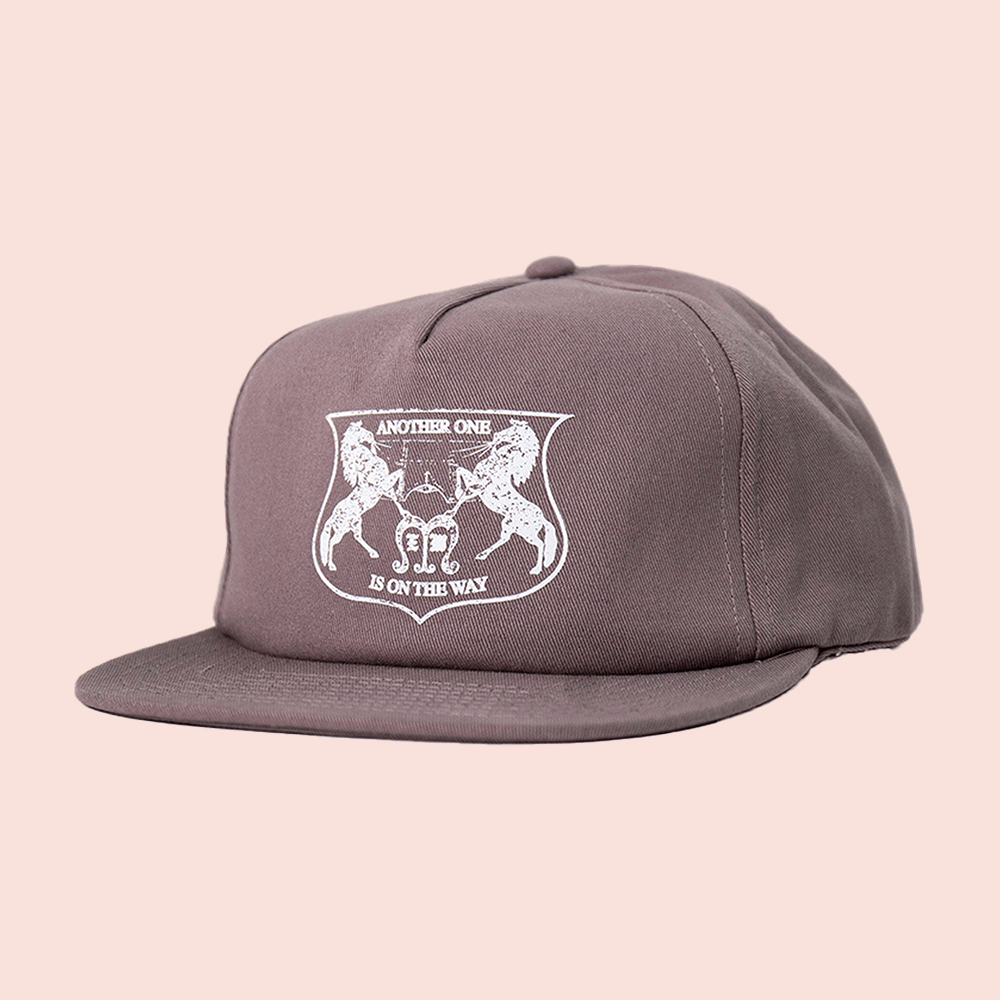 Elevation Worship Merch Another One Snapback Hat Great Fan Gifts