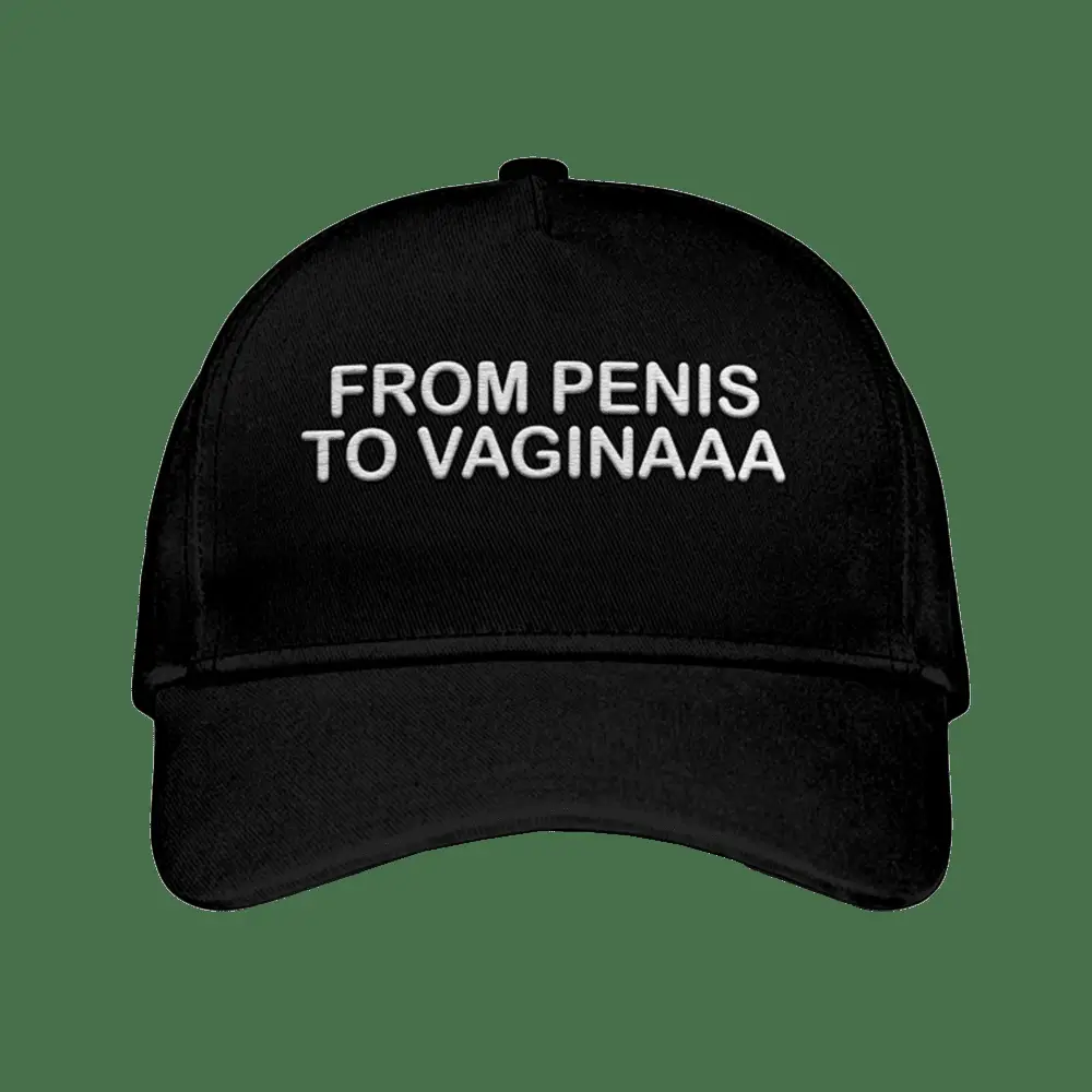 From Penis To Vaginaaa Hat Embroidered Humor Hat Gifts For Adults -WearandDecor