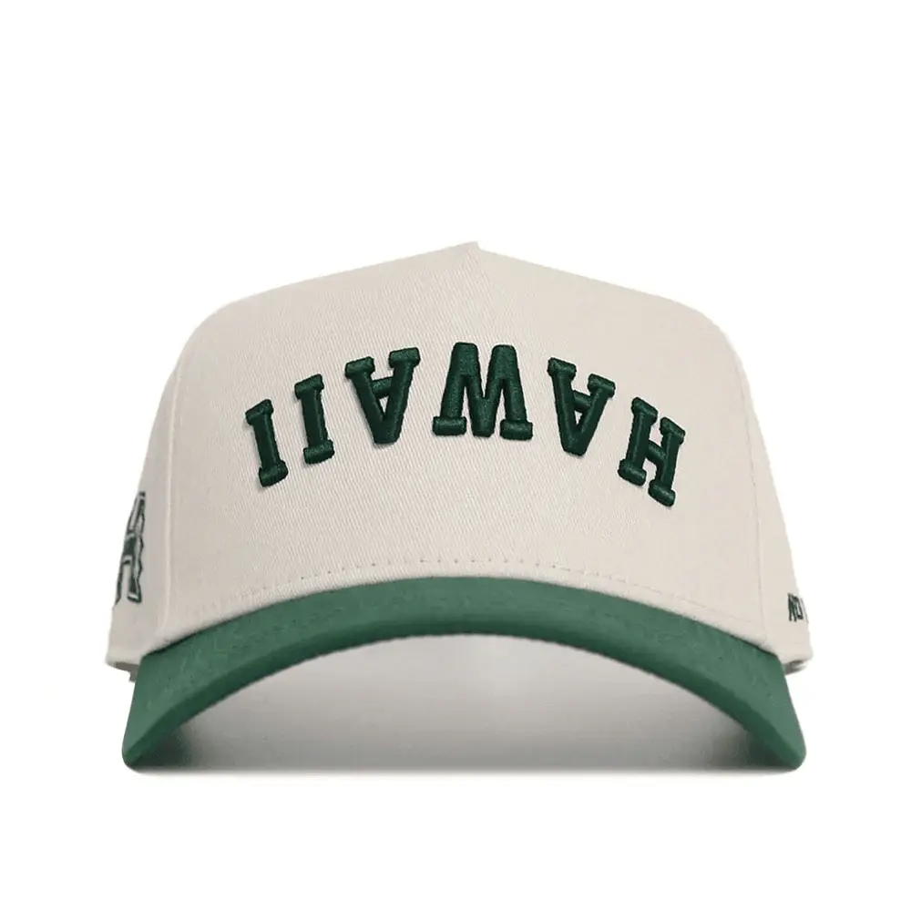 Hawaii Upside Down Hat Trend Hawaii Reversed Hat Hawaii Merch Bonus Dad Gifts Gifts For BFF
