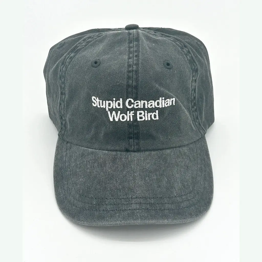 Heated Rivalry Merch Stupid Canadian Wolf Bird Hat Embroidered Christmas Gifts For Husband - Wear&Decor