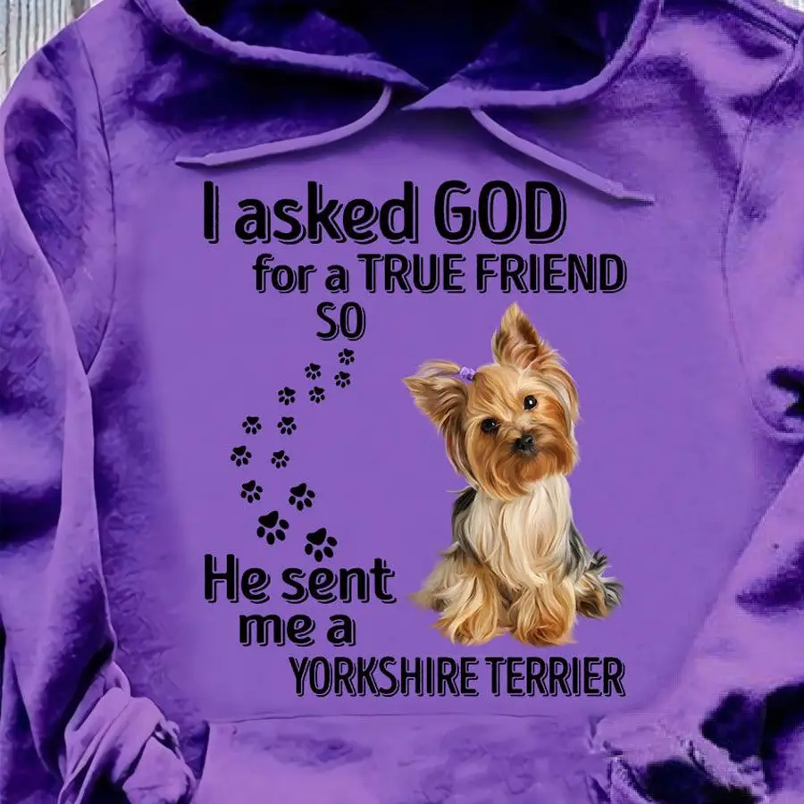 I Asked Good For A True Friend So Hoodie Happy Father's Day Pullover Gift For Dad I Asked Good For A True Friend So Hoodie Happy Father's Day Pullover Gift For Dad - Image 1