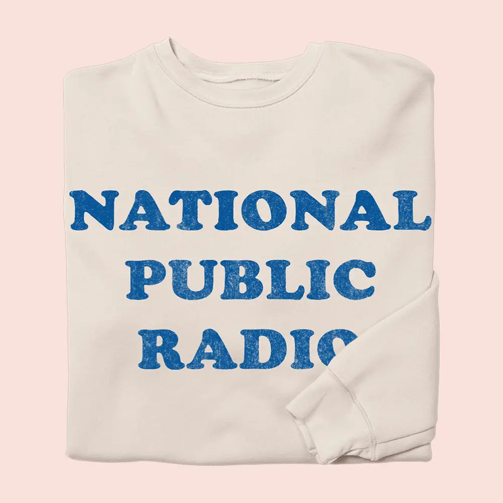 Iconic Bit Of NPR Merch NPR Retro 70s Logo Sweatshirt National Public Radio Fan Apparel