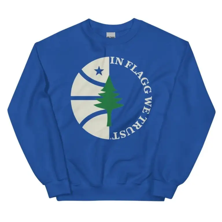 In Flagg We Trust Hoodie Basketball And Pine Tree Merch Gift For Him In Flagg We Trust Hoodie Basketball And Pine Tree Merch Gift For Him - Image 1