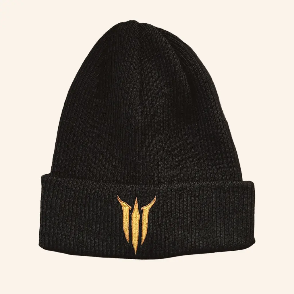 Larian Merch Baldur's Gate 3 Logo Beanie Top Christmas Gifts For Brother -WearandDecor