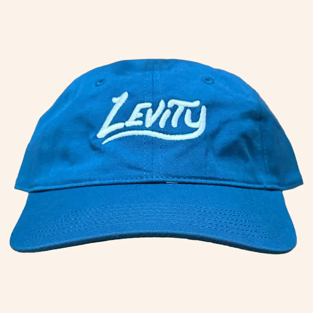 Levity Merch Levity Blue Embroidered Hat Best Birthday Gift For Husband