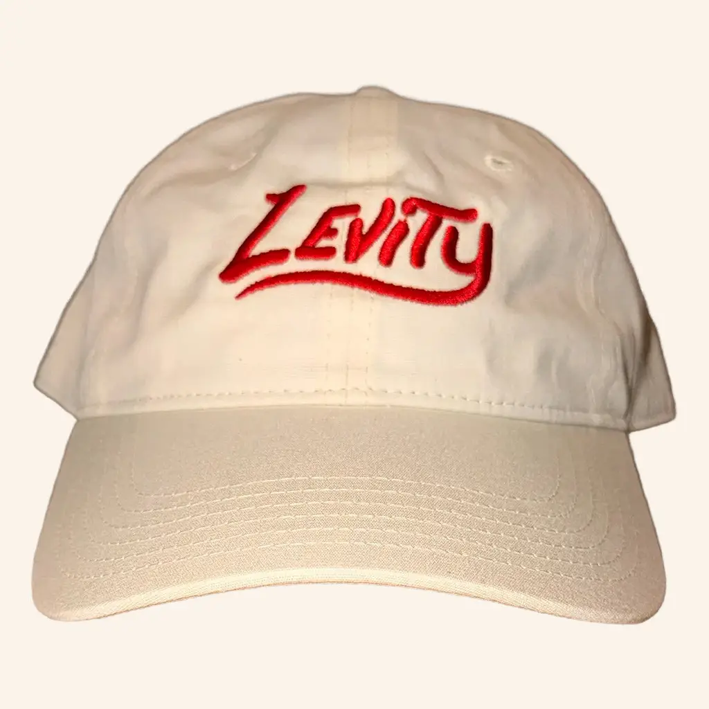Levity Merch Levity Logo Embroidered Hat Unique Birthday Gift For Husband