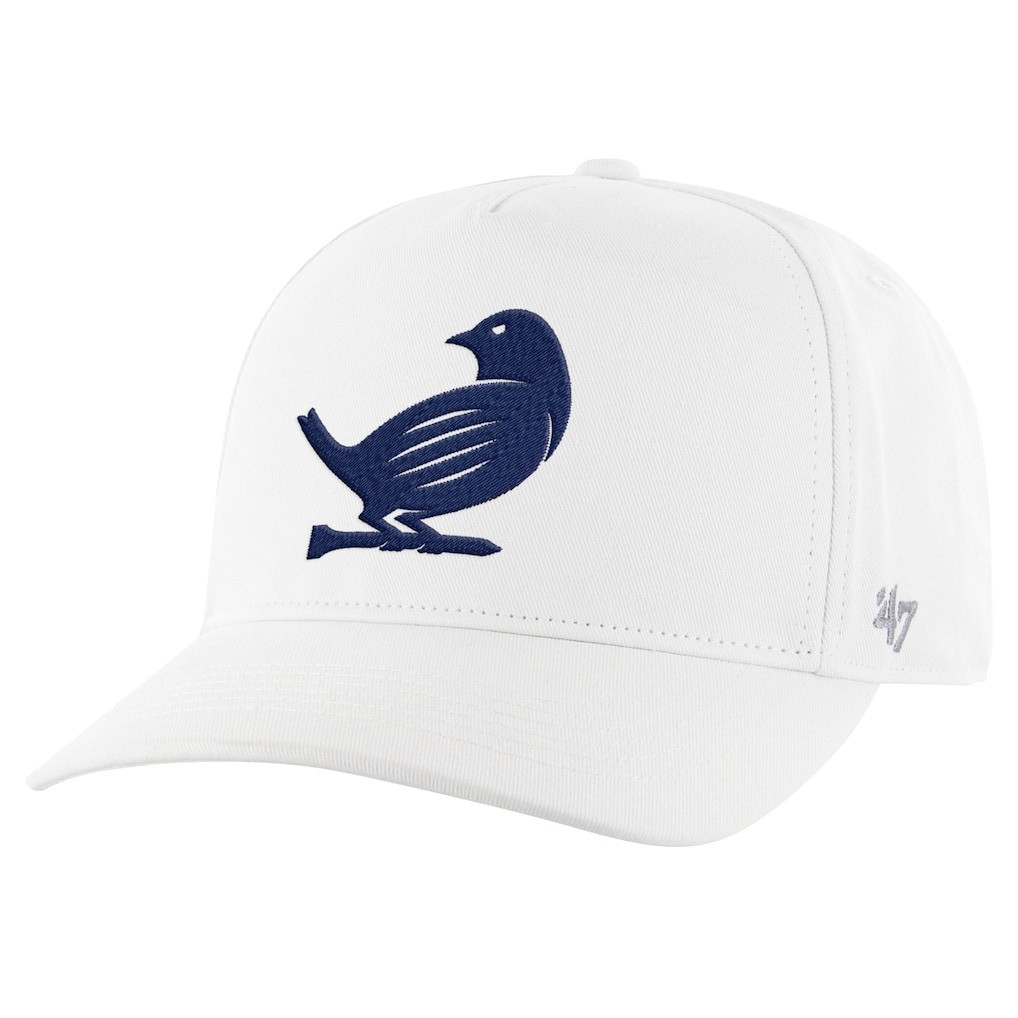 Men's '47 Dad Hat TGL New York Golf Club Blue Bird Hat Unique Gift For Husband
