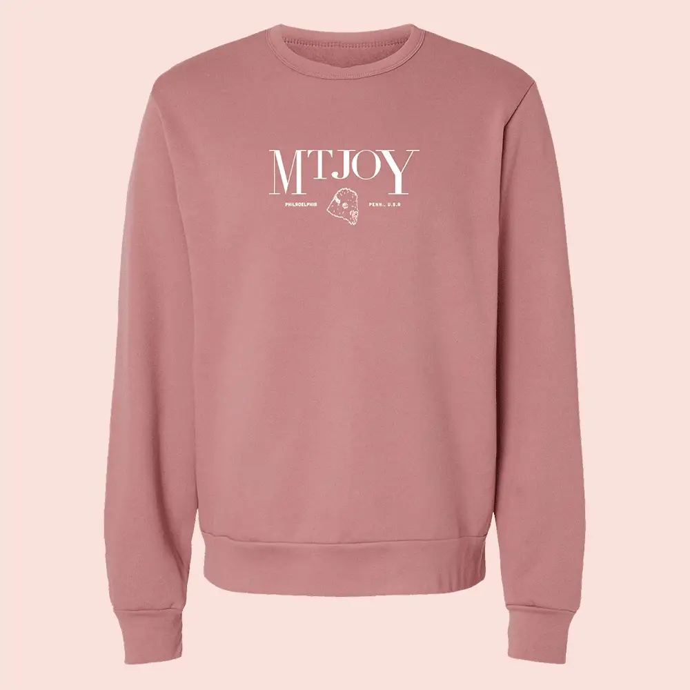 Mt Joy Merch Mt Joy Vintage Sweatshirt Clothes Fan Gifts For Friends