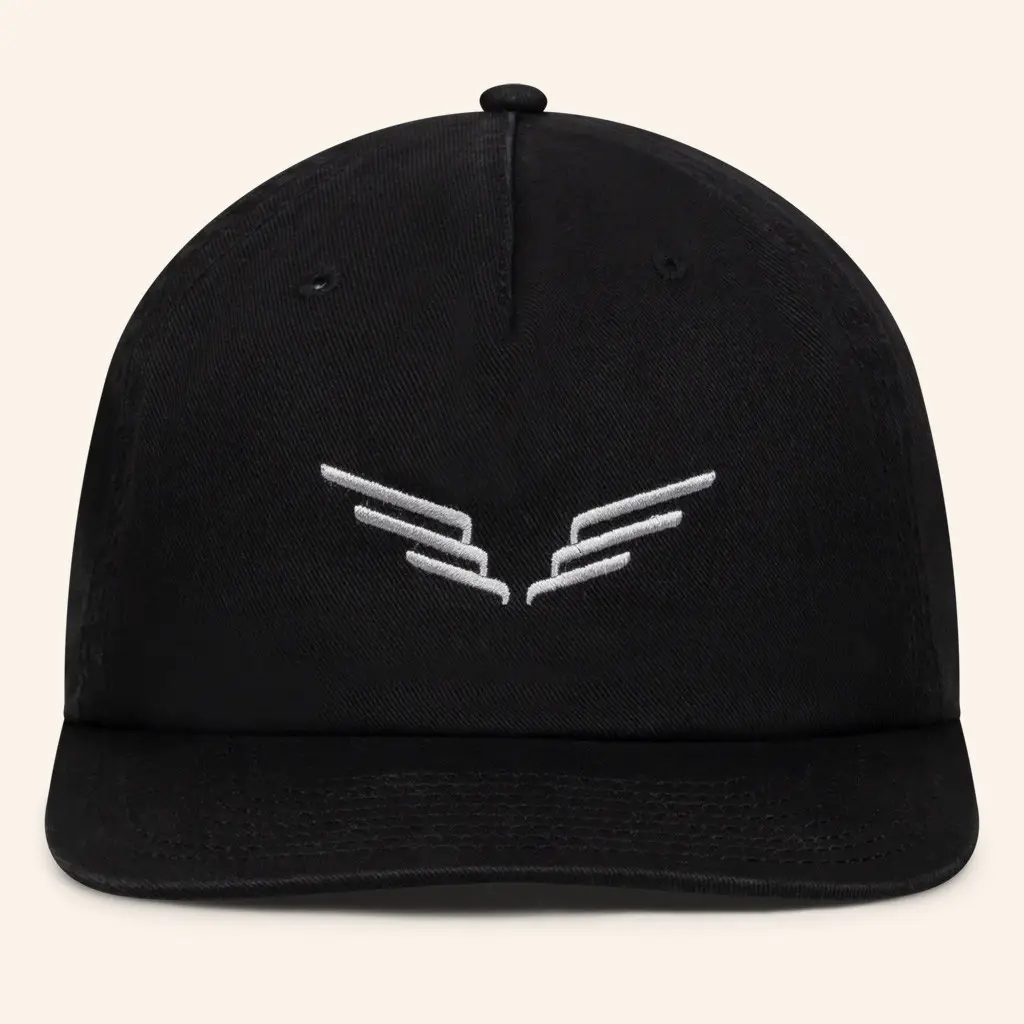 Mumford And Sons Merch Black Embroidered Wings Hat Christmas Gifts For Rock Fans -WearandDecor