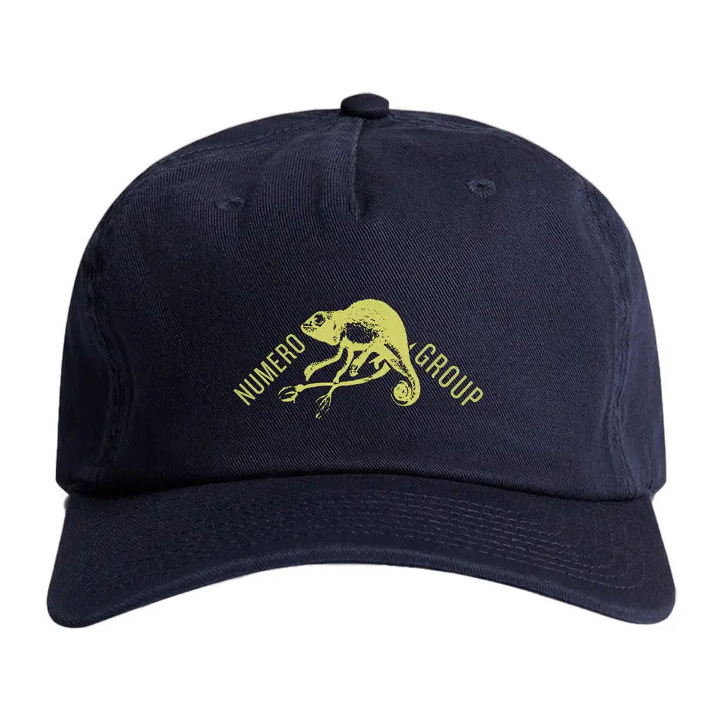 Numero Group Merch Chameleon Hat Presents For Dad -WearandDecor