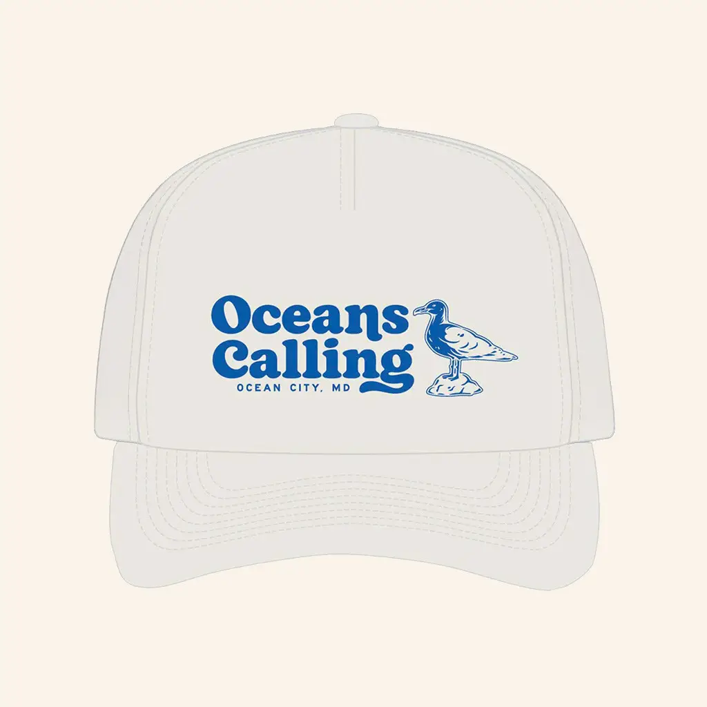 Oceans Calling Merch Seagull Hat Christmas Gifts For Boyfriend -WearandDecor Oceans Calling Merch Seagull Hat Christmas Gifts For Boyfriend -WearandDecor - Image 1