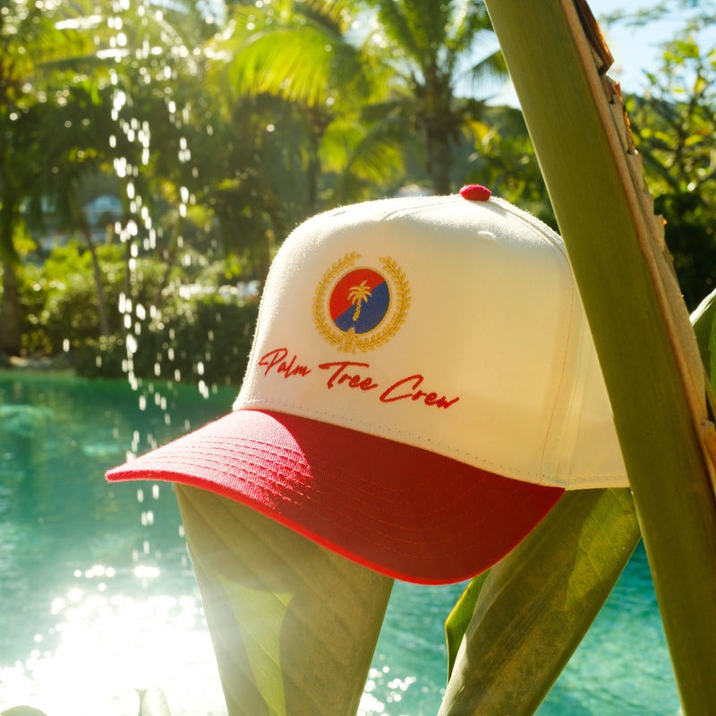 Palm Tree Crew Hat Trendy Vacation Trucker Cap Unique Summer Merch Ideas For Son