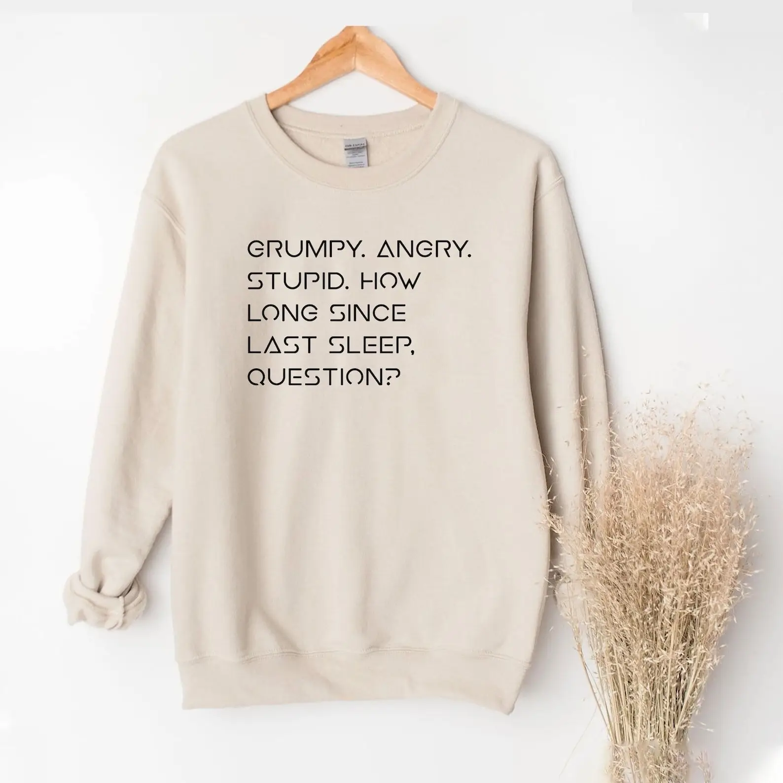 Project Hail Mary Merch Grumpy Rocky Sweatshirt Stupid How Long Since Last Sleep Question Project Hail Mary Merch Grumpy Rocky Sweatshirt Stupid How Long Since Last Sleep Question - Image 1