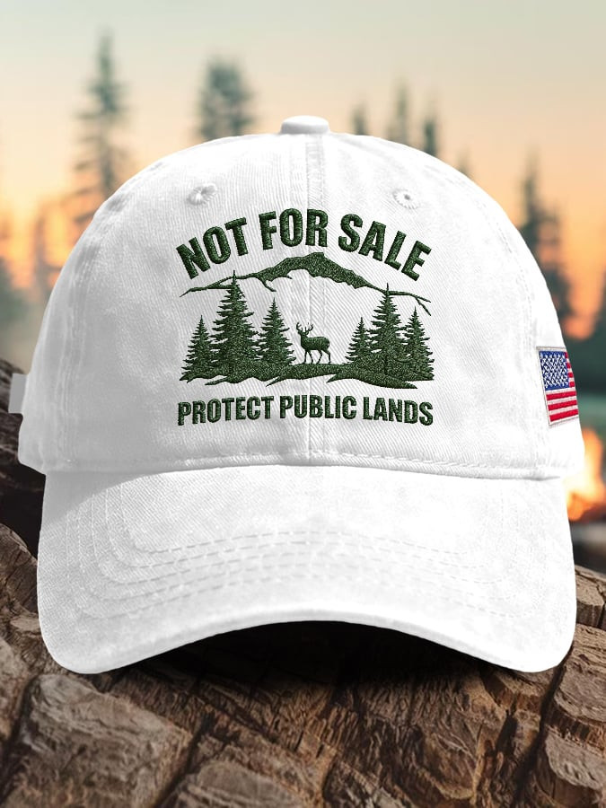 Protect Our National Parks Hat Resist Not For Sale Protect Public Lands Cap Gift For Son Protect Our National Parks Hat Resist Not For Sale Protect Public Lands Cap Gift For Son - Image 1
