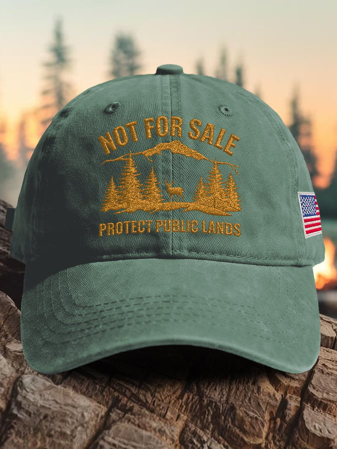 Protect Our National Parks Hat Resist Not For Sale Protect Public Lands Cap Gift For Son