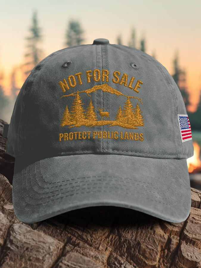 Protect Our National Parks Hat Resist Not For Sale Protect Public Lands Cap Gift For Son