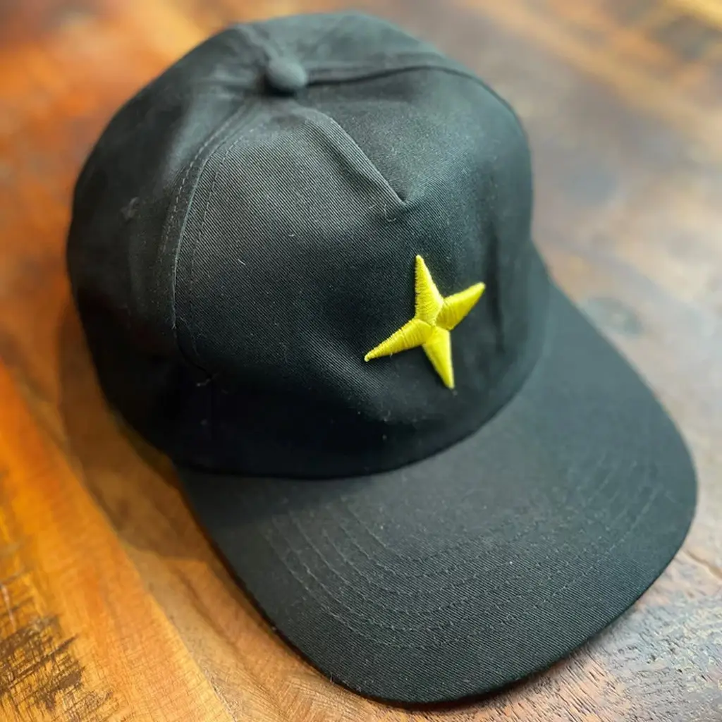 RuneScape Merch Embroidered God Snapback Hat Saradomin Hat Gifts For Father - WearandDecor
