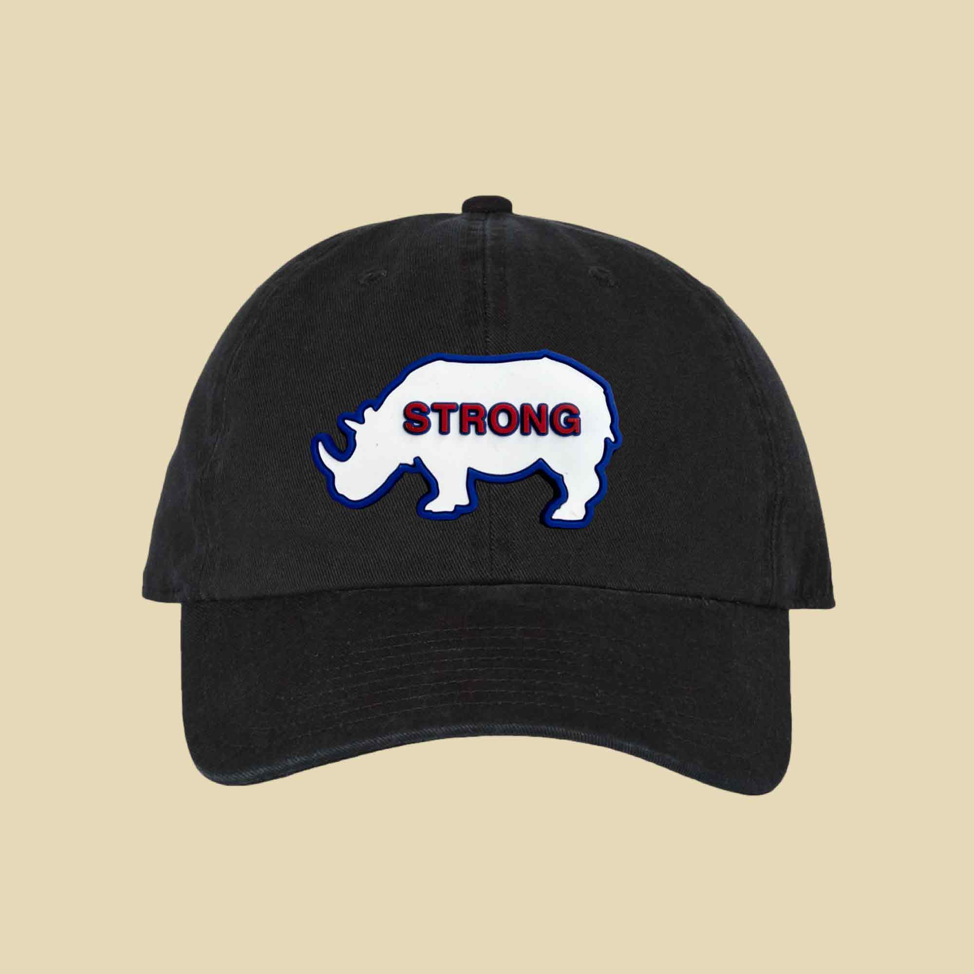 Ryne Sandberg Chicago Hat Stay Strong 23 Baseball Design Gift For Dad