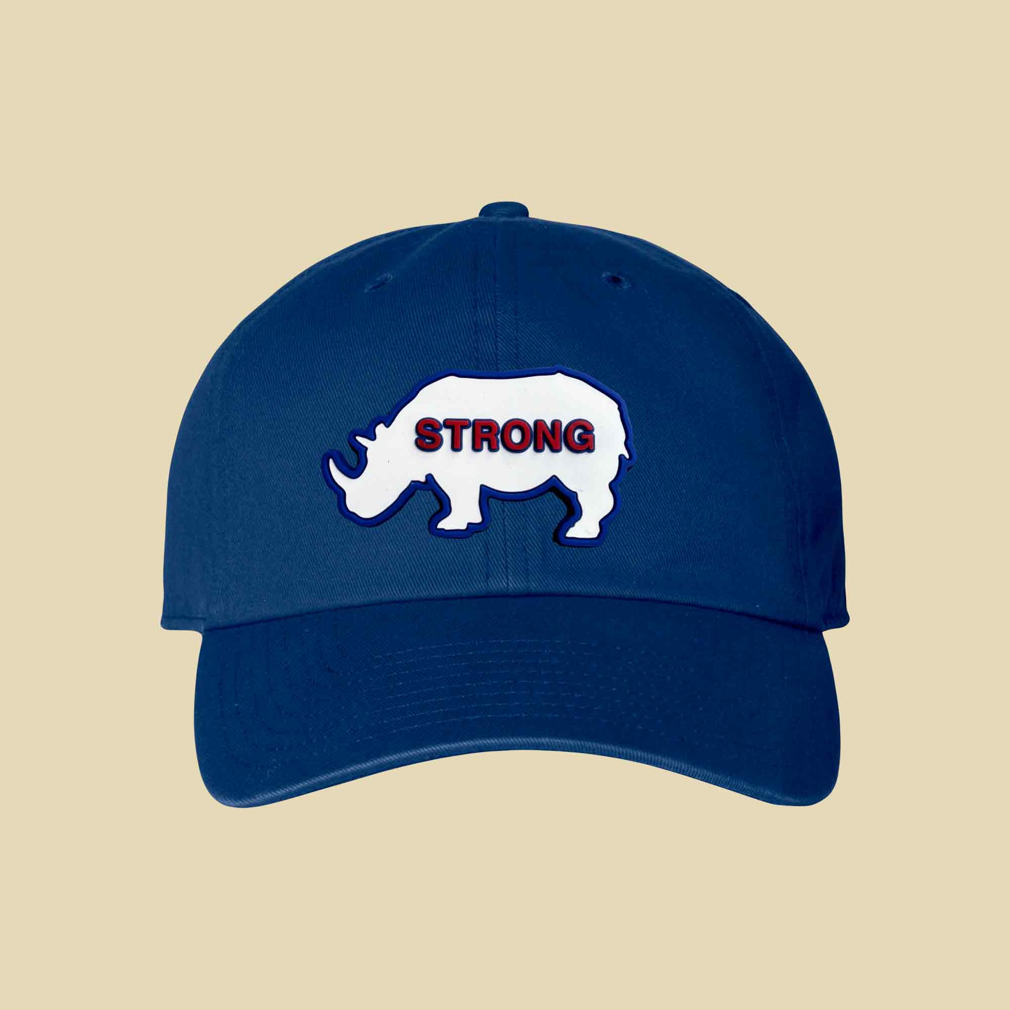 Ryne Sandberg Classic Hat Forever 23 Strong Tribute Design Gift For Sports Lovers