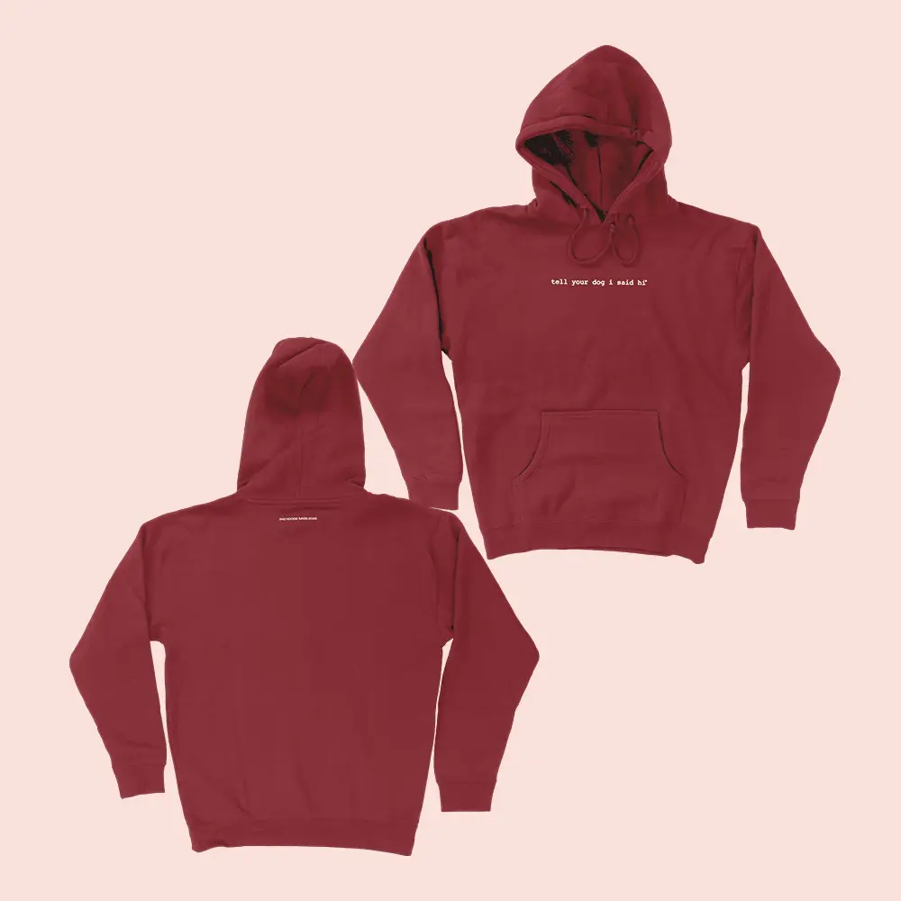Tell Your Dog I Said Hi Merch Classic Hoodie Gifts For Dog Lovers People