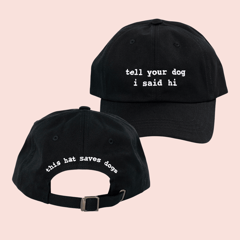 Tell Your Dog I Said Hi Merch Embroidered Hat This Hat Saves Dog Cap Gifts For Dog Lovers