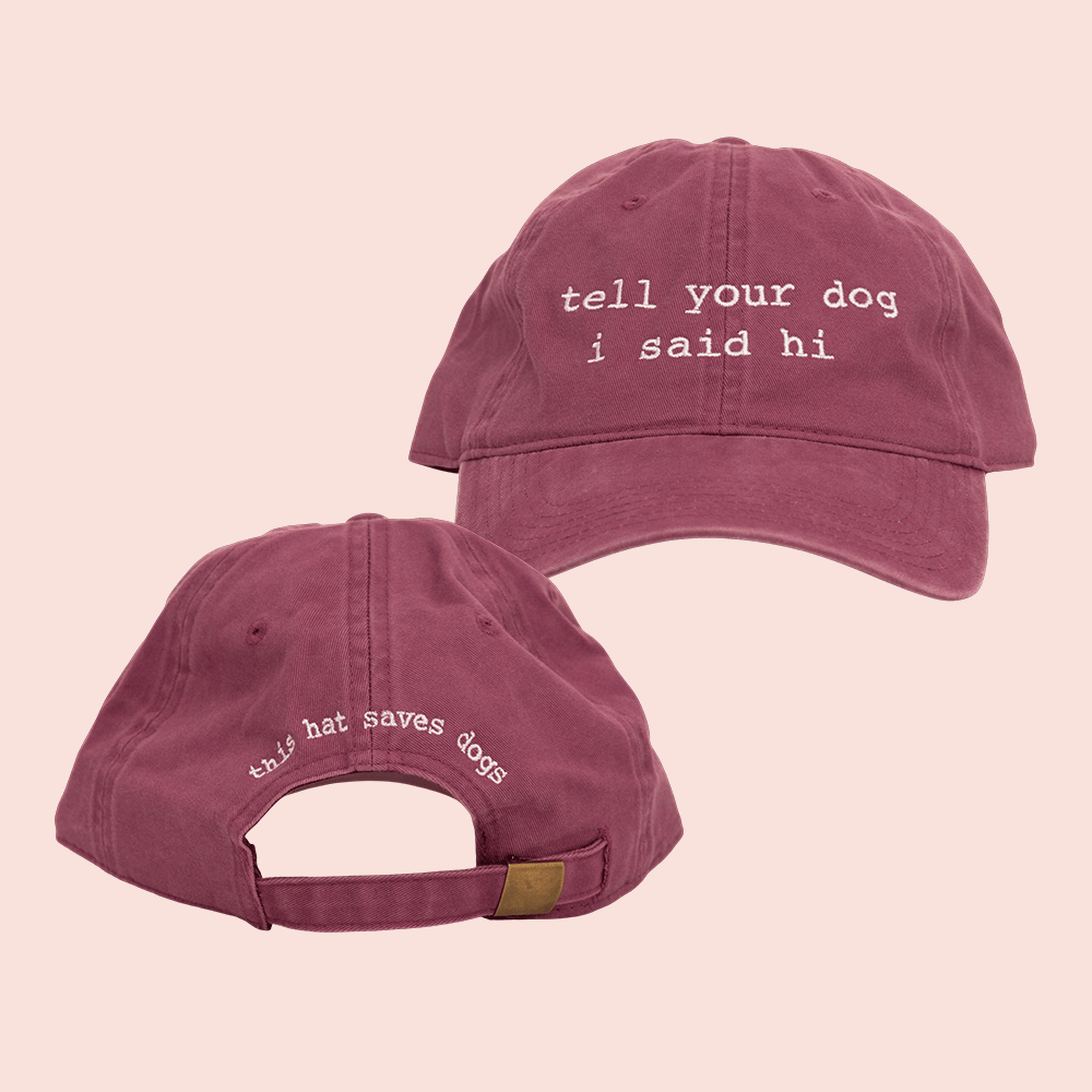 Tell Your Dog I Said Hi Merch Vintage Embroidered Hat Awesome Gifts For Dog Lovers Tell Your Dog I Said Hi Merch Vintage Embroidered Hat Awesome Gifts For Dog Lovers - Image 1