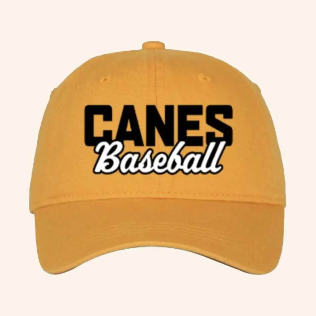 The Canes Merch Canes Baseball Hat Best Gifts For Baseball Fans -WearandDecor