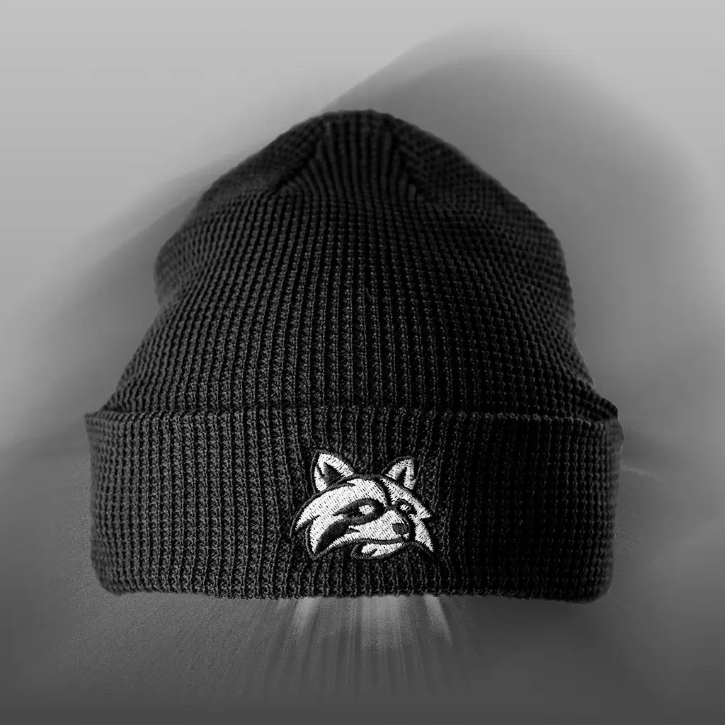 Trash Panda Disc Golf Merch Raccoon Beanie Embroidered Birthday Gift Ideas For Husband Trash Panda Disc Golf Merch Raccoon Beanie Embroidered Birthday Gift Ideas For Husband - Image 1