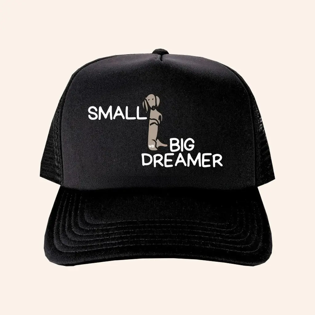 Whiskey Biz Merch Small Big Dreamer Trucker Hat Gifts For Dad -WearandDecor