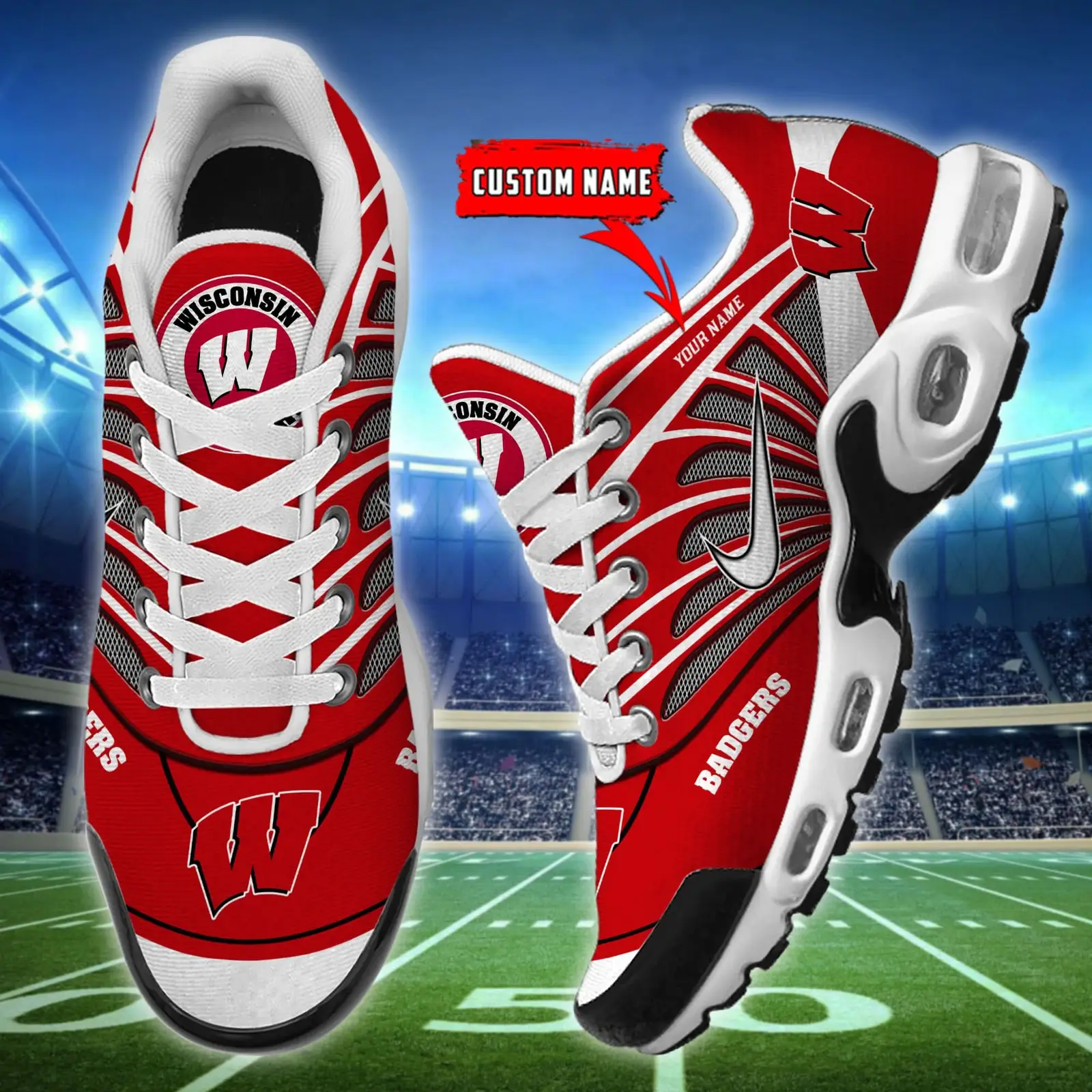 Wisconsin Badgers Air Max Plus Shoes