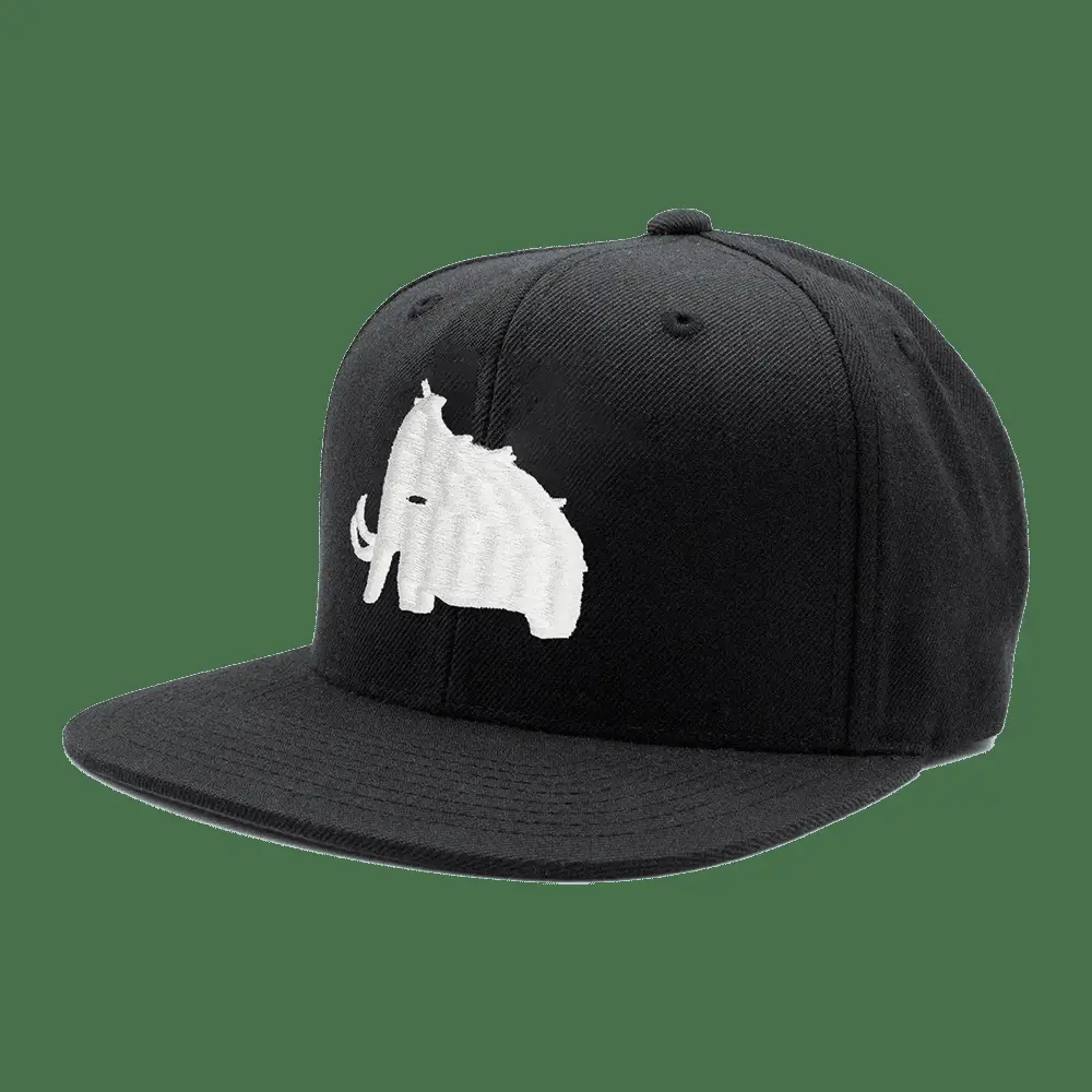 Wooli Merch Wooli Snapback Hat Father's Day Gifts For Husband -WearandDecor