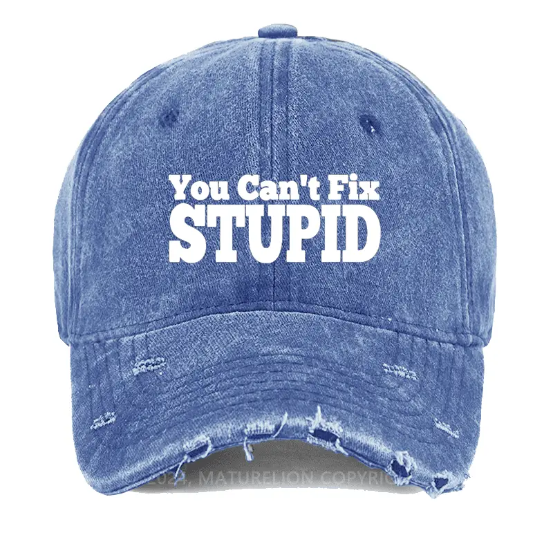You Can't Fix Stupid Washed Vintage Cap Funny Graphic Tee for Men – Sarcastic Saying Shirt