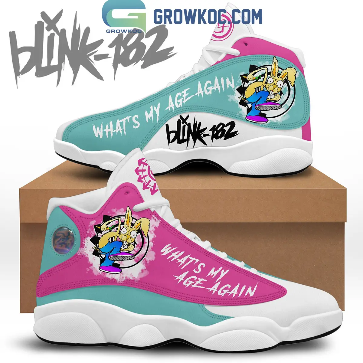 Blink-182 What's My Age Again Air Jordan 13 Shoes