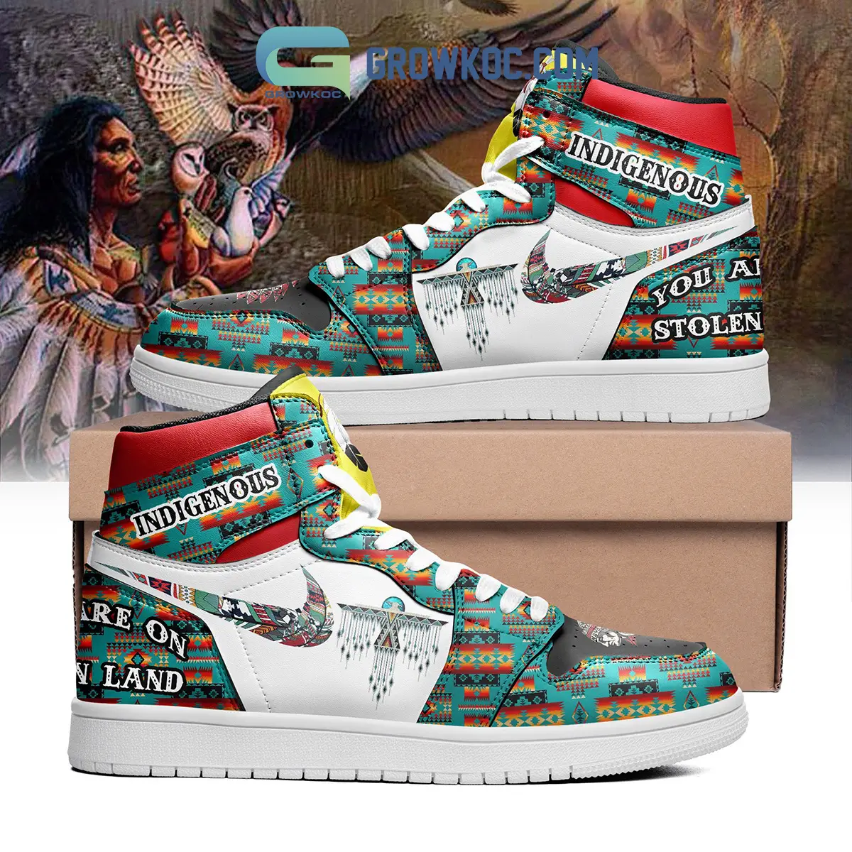 Indigenous You Are On Stolen Land Air Jordan 1 Shoes