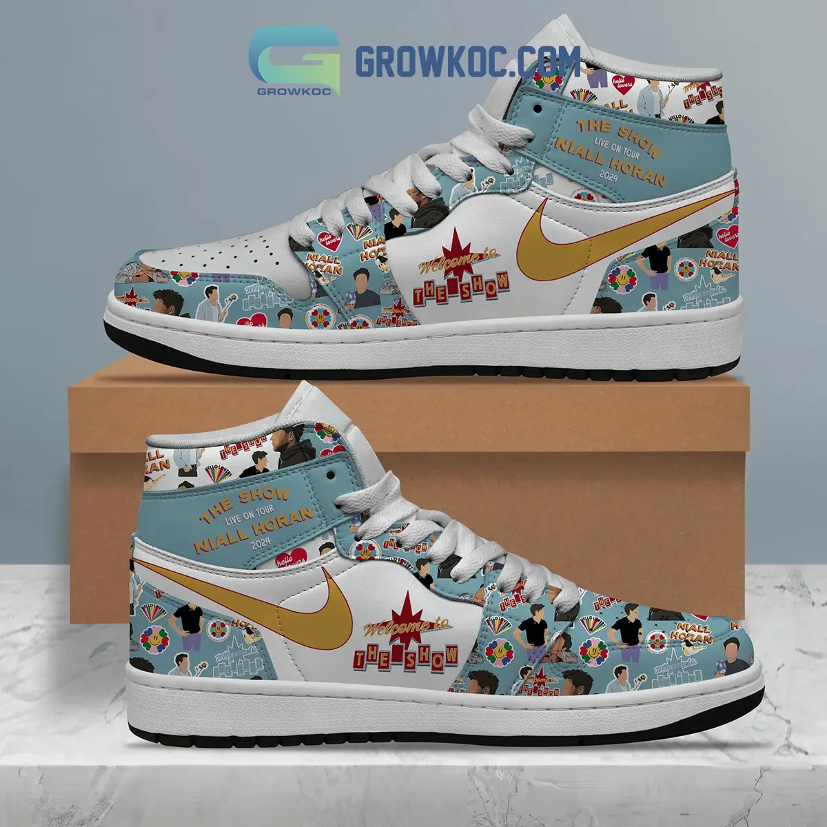 Niall Horan The Show Air Jordan 1 Shoes
