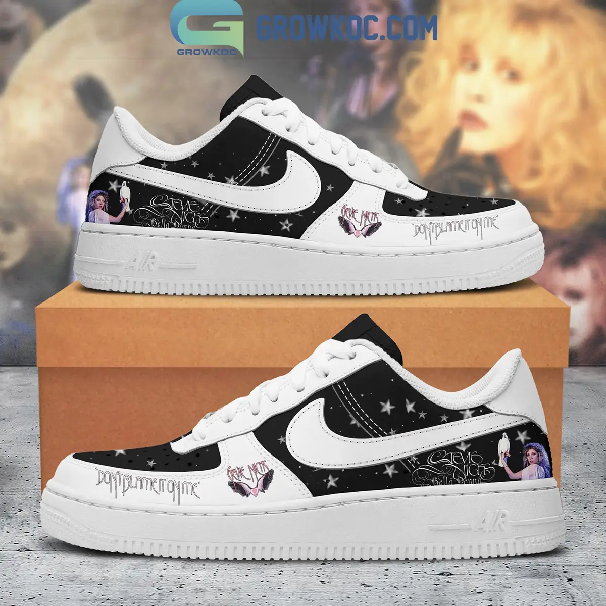 Stevie Nicks Don't Blame It On Me Air Force 1 Shoes